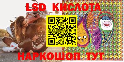 прущие грибы Пенза
