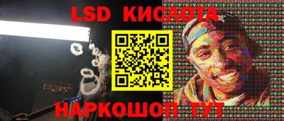прущие грибы Пенза