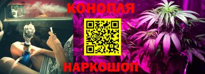 прущие грибы Пенза