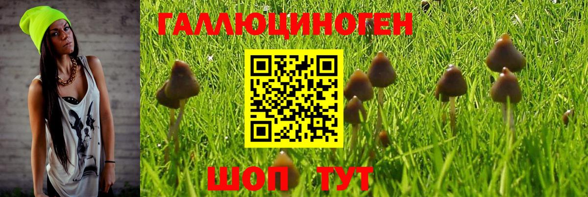 Псилоцибиновые грибы мицелий  Вход с VPN  Павлово 